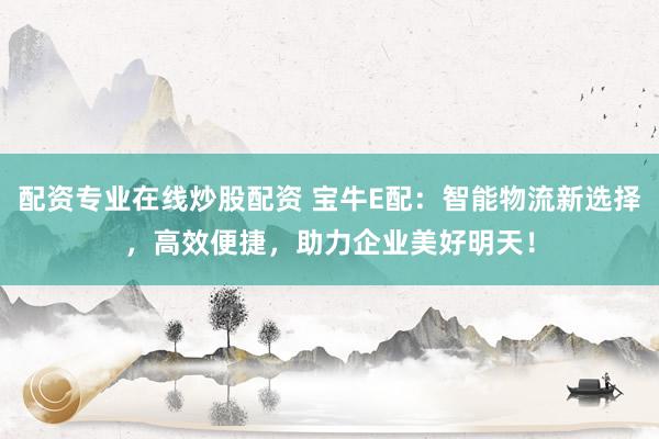 配资专业在线炒股配资 宝牛E配：智能物流新选择，高效便捷，助力企业美好明天！