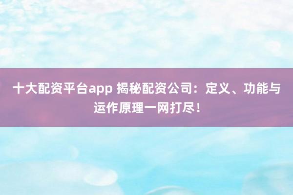 十大配资平台app 揭秘配资公司：定义、功能与运作原理一网打尽！