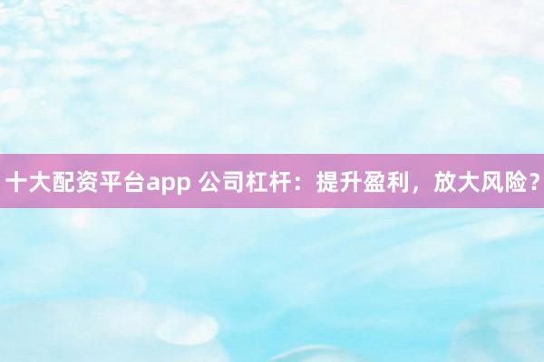 十大配资平台app 公司杠杆：提升盈利，放大风险？