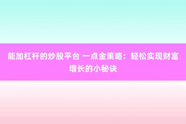 能加杠杆的炒股平台 一点金策略：轻松实现财富增长的小秘诀