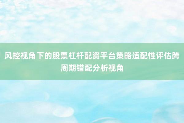 风控视角下的股票杠杆配资平台策略适配性评估跨周期错配分析视角