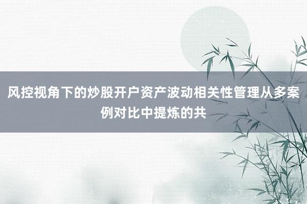 风控视角下的炒股开户资产波动相关性管理从多案例对比中提炼的共