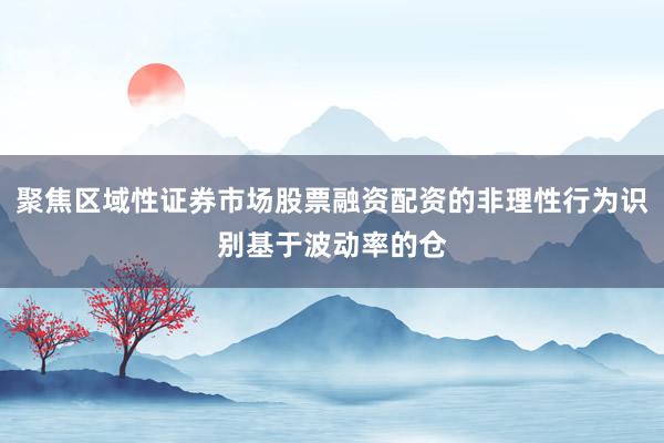 聚焦区域性证券市场股票融资配资的非理性行为识别基于波动率的仓