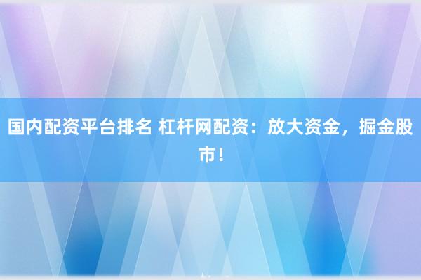 国内配资平台排名 杠杆网配资：放大资金，掘金股市！